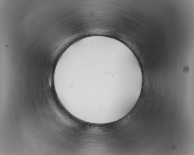 X0000112060062200909151035