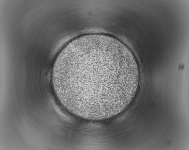 X0000112060063200909151035