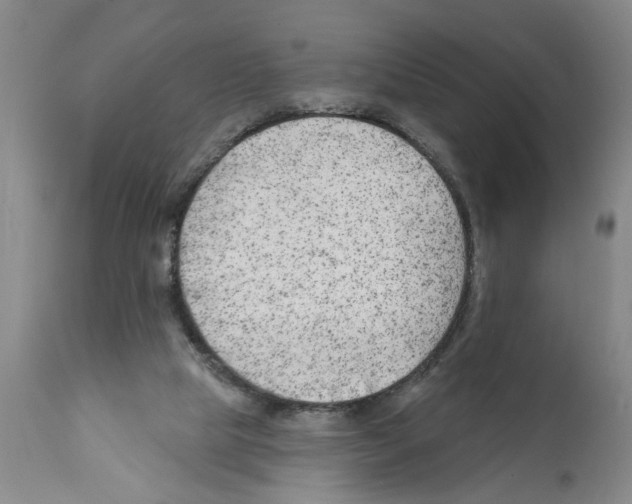X0000112060065200909151035