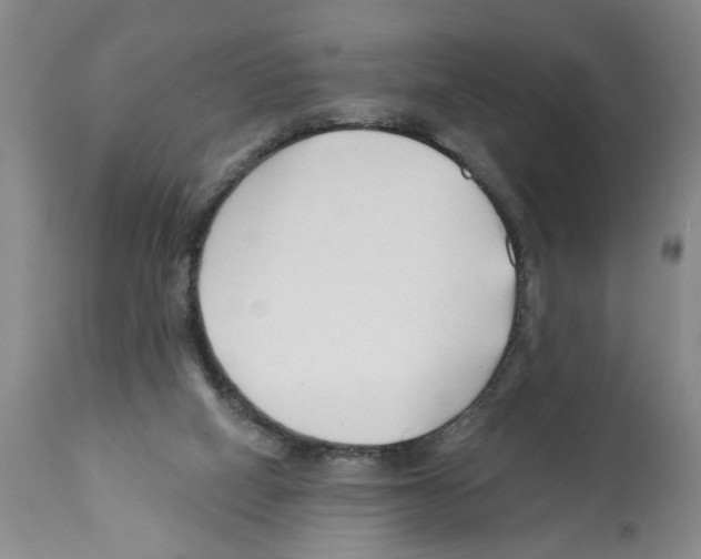 X0000112060066200909151035
