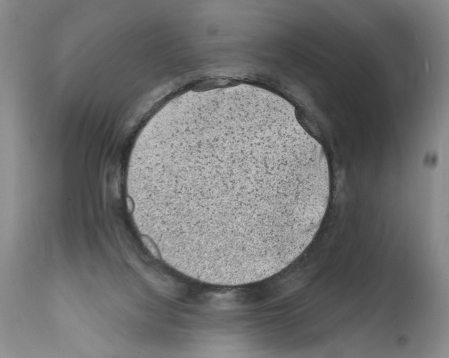 X0000112060068200909151035