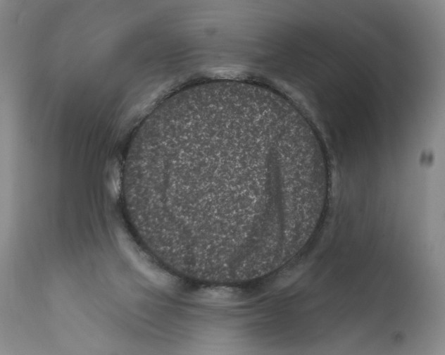 X0000112060069200909151035