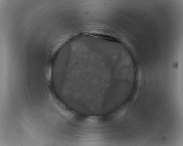 X0000112060076200909151035