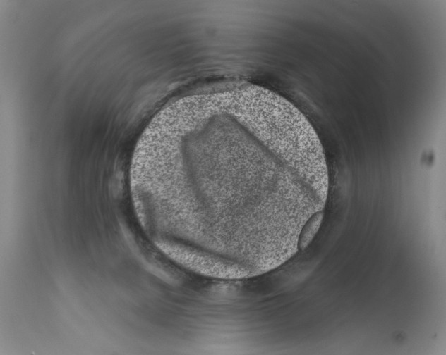 X0000112060080200909151035