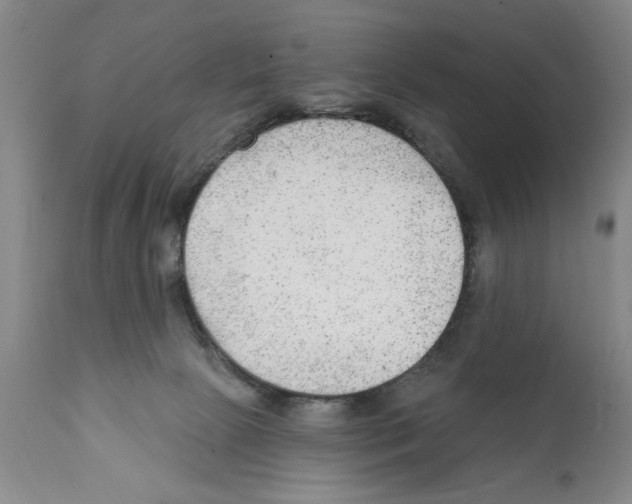 X0000112060081200909151035