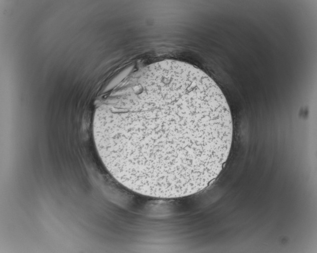 X0000112060082200909151035