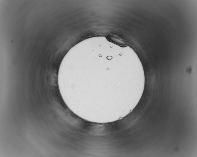 X0000112060083200909151035