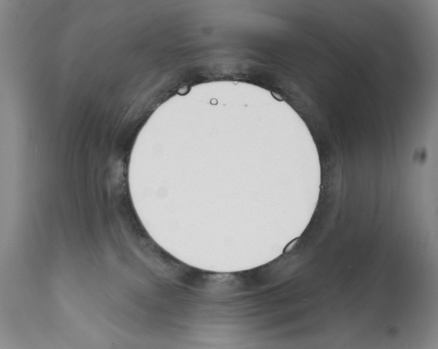 X0000112060087200909151035