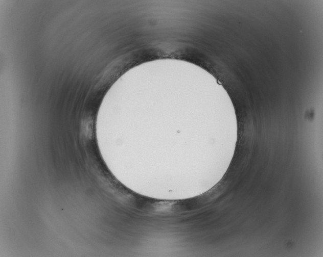 X0000112060090200909151035