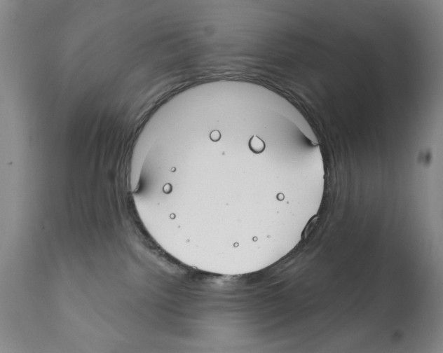 X0000112060092200909151035