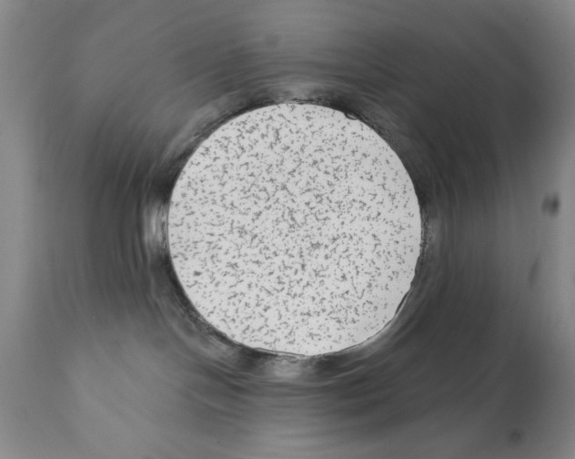 X0000112060094200909151035