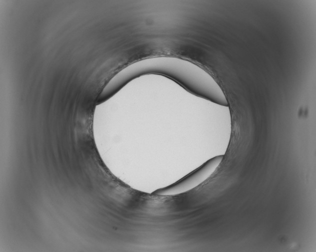 X0000112060096200909151036