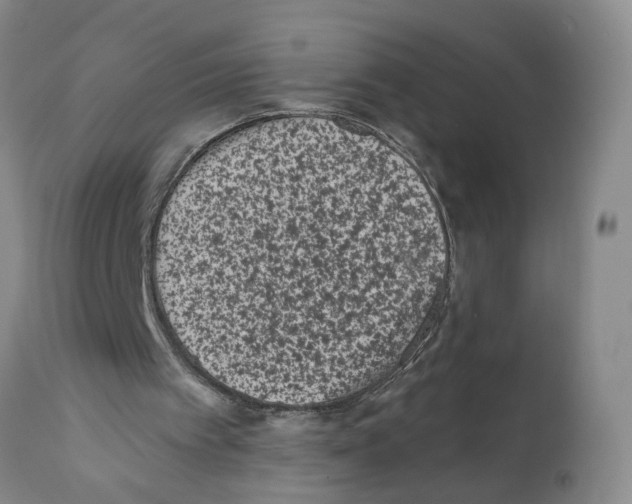 X0000112060097200909151035