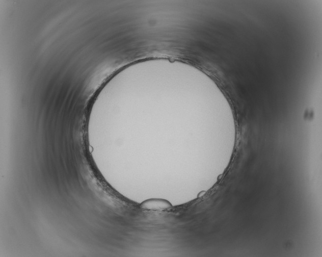 X0000112060098200909151035