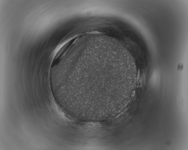 X0000112060099200909151035
