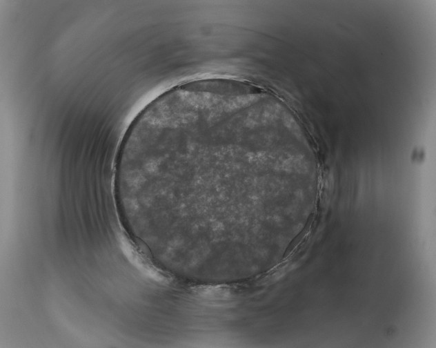 X0000112060100200909151035