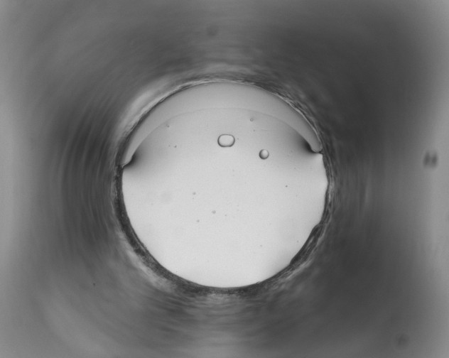 X0000112060101200909151035