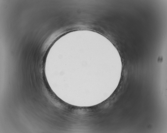 X0000112060103200909151035