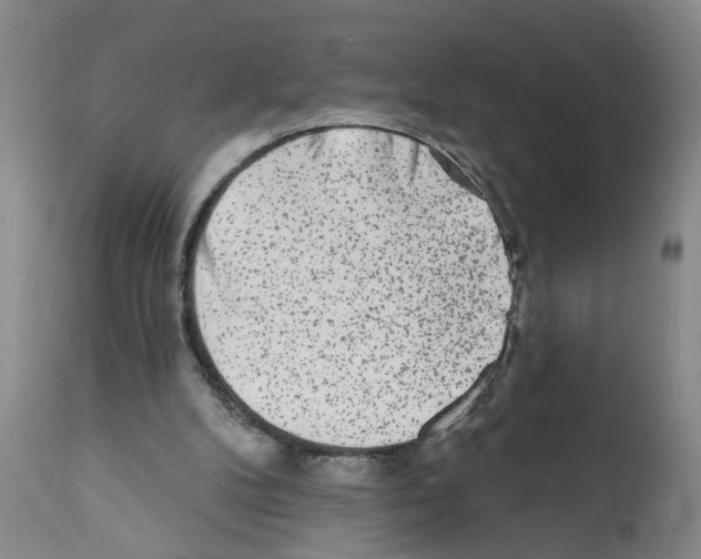X0000112060104200909151035