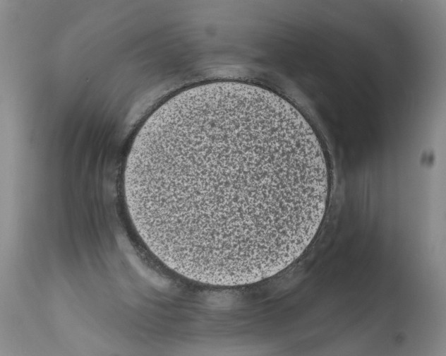 X0000112060106200909151035