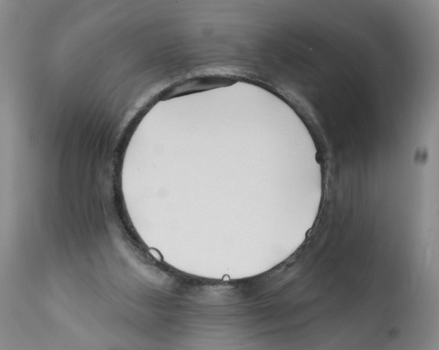 X0000112060108200909151035
