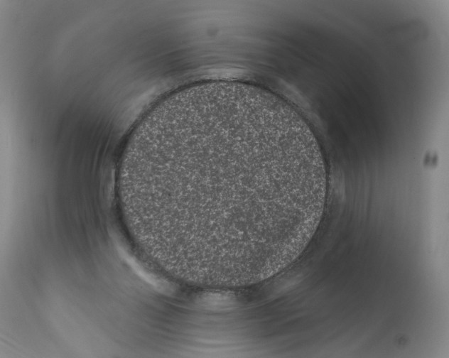 X0000112060110200909151034