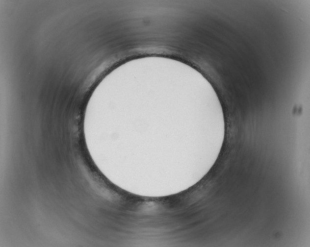 X0000112060111200909151034
