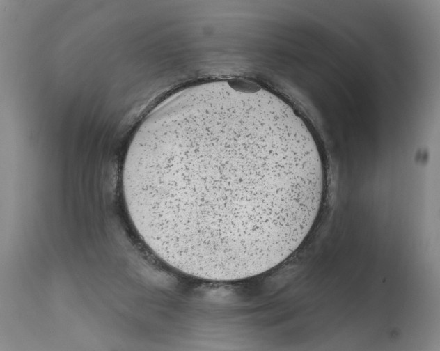 X0000112060113200909151034
