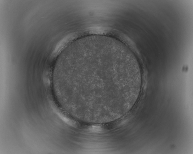 X0000112060114200909151034
