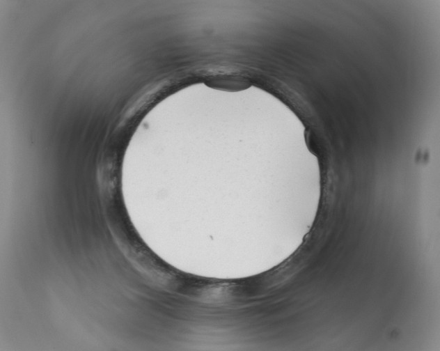 X0000112060116200909151034