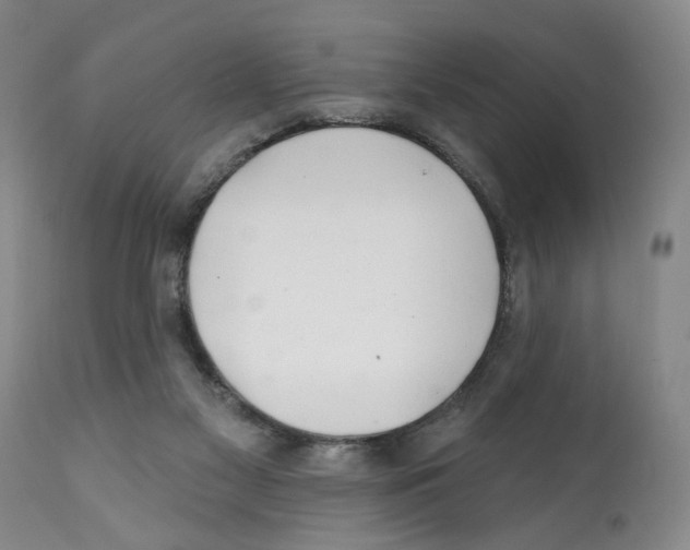 X0000112060117200909151034