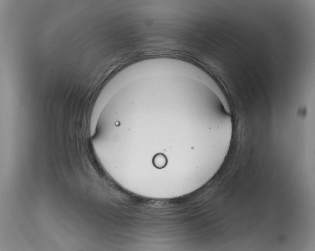 X0000112060121200909151034