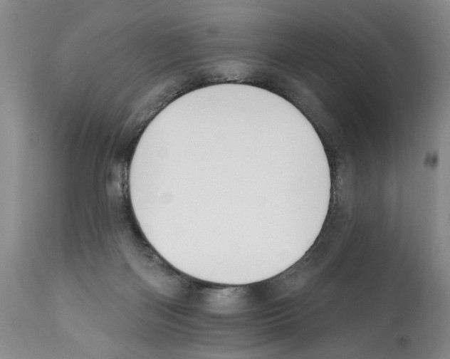 X0000112060122200909151034