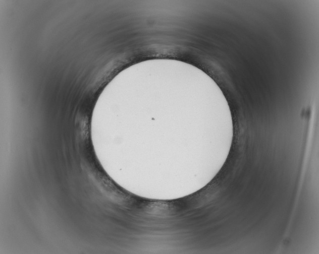 X0000112060123200909151034