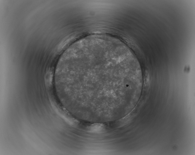 X0000112060124200909151034