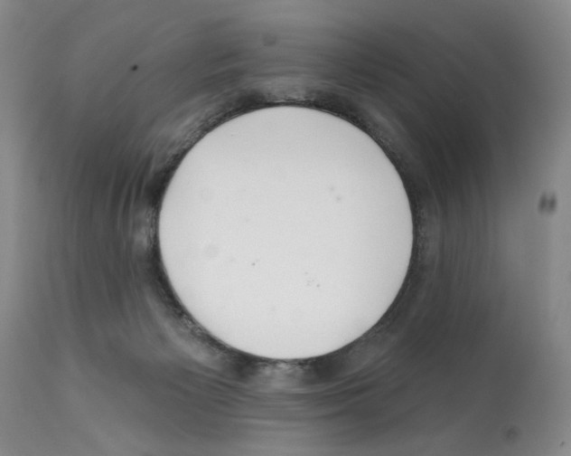 X0000112060125200909151034