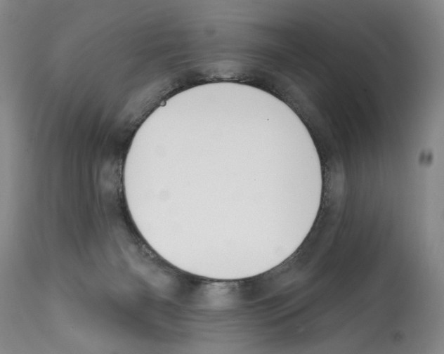 X0000112060126200909151034
