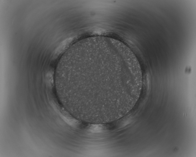 X0000112060127200909151034