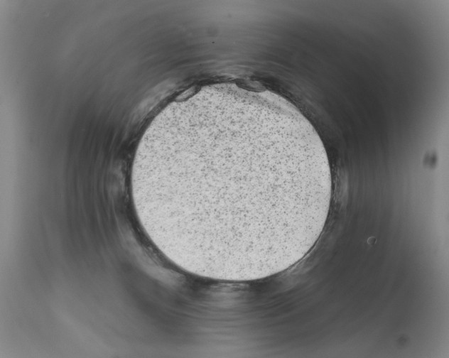 X0000112060128200909151034
