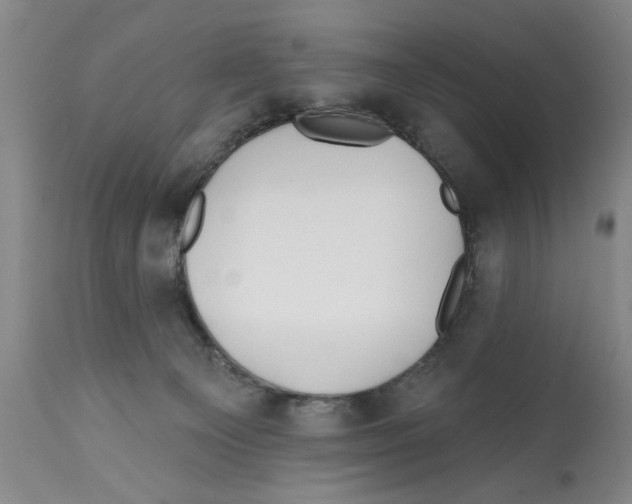 X0000112060129200909151034