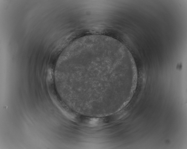 X0000112060130200909151034