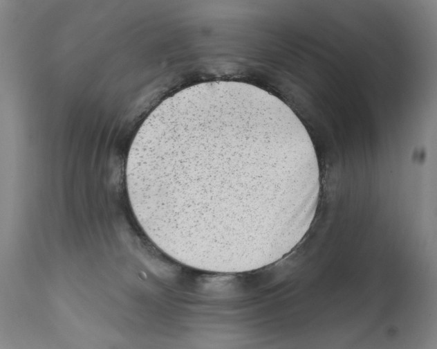 X0000112060132200909151034
