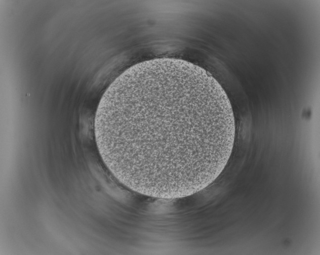 X0000112060138200909151034