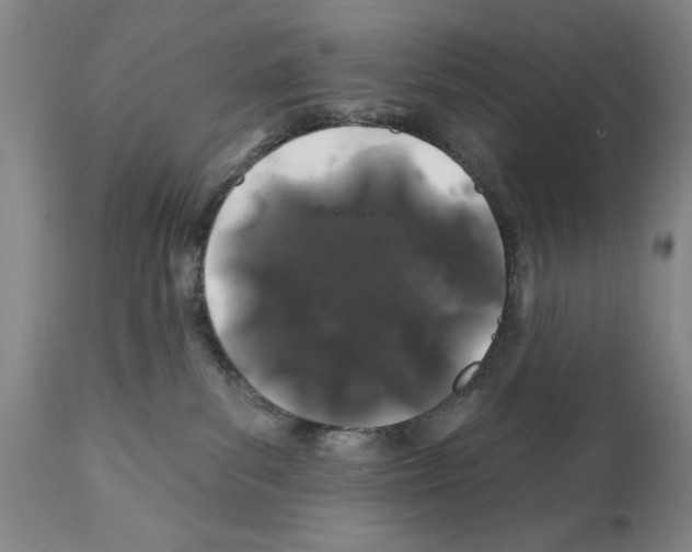 X0000112060139200909151034