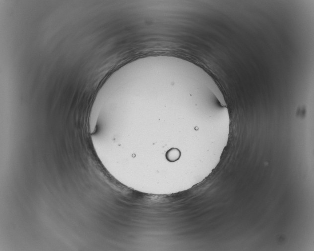X0000112060141200909151034