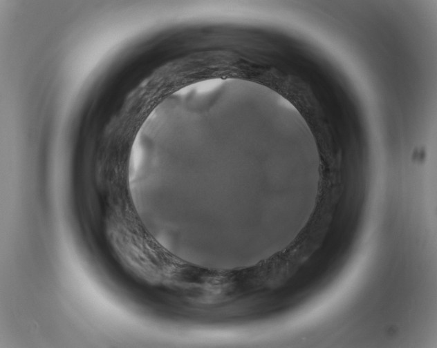 X0000112060143200909151034