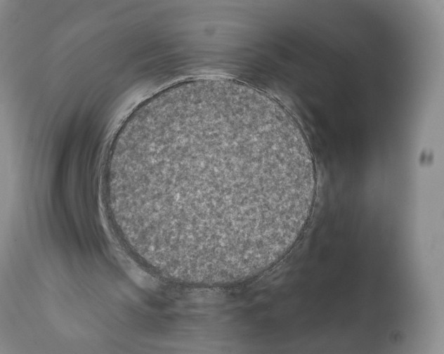 X0000112060145200909151033