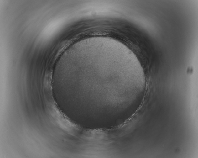 X0000112060146200909151033