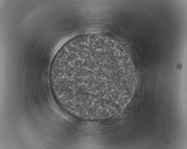 X0000112060147200909151033