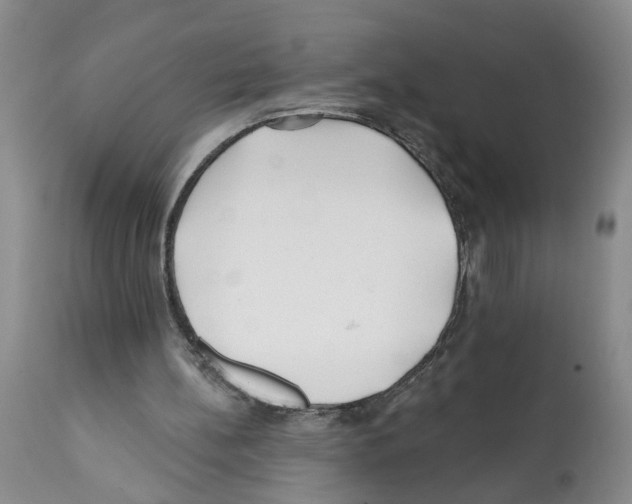 X0000112060148200909151033